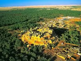 Oaza Siwa 